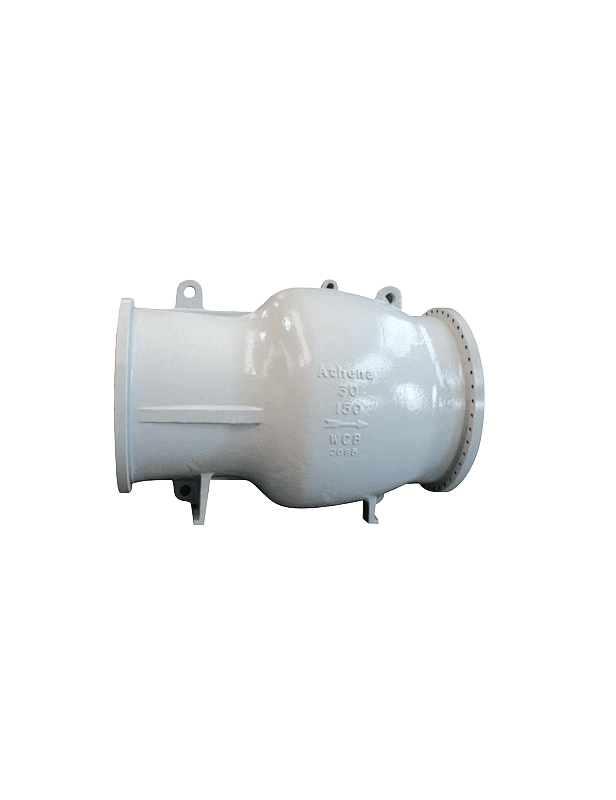 Axial Flow Check Valve