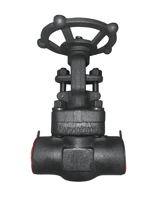 Forged Steel Gate Valve