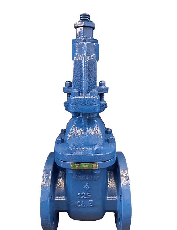 Rising Stem Gate Valve