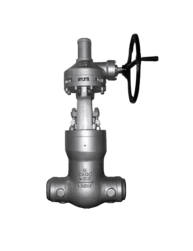 Pressure Seal Type Globe Valve